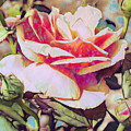 2024 Rose Flower