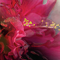 Explosion of Beauty