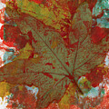 Fall Leaf