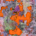 Orange you Clever Abstract