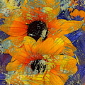 Sunflower Abstract